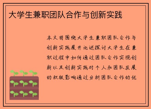 大学生兼职团队合作与创新实践