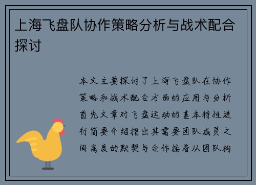上海飞盘队协作策略分析与战术配合探讨