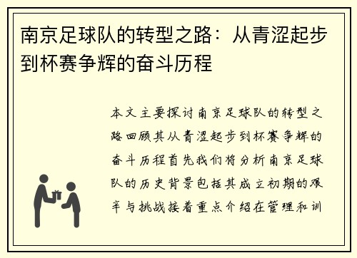 南京足球队的转型之路：从青涩起步到杯赛争辉的奋斗历程