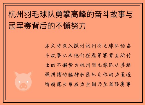 杭州羽毛球队勇攀高峰的奋斗故事与冠军赛背后的不懈努力