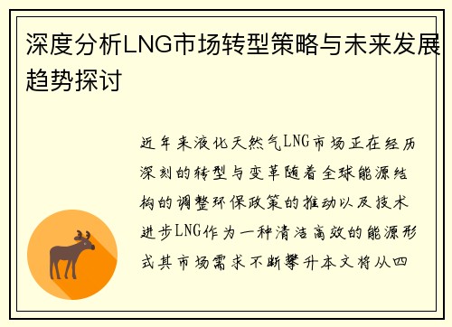 深度分析LNG市场转型策略与未来发展趋势探讨
